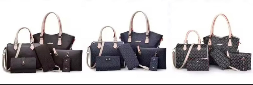 Women’s luggage set